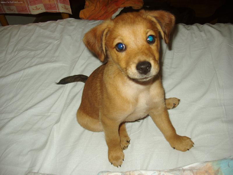 Foto: Malej Art�ek