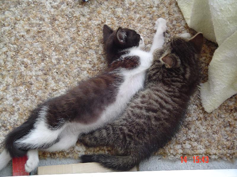 Foto: Polud�aj�ia  siesta