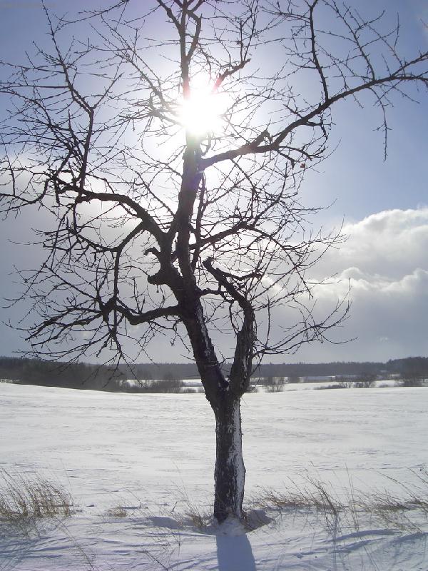 Foto: od Kostelce k Jevan�m