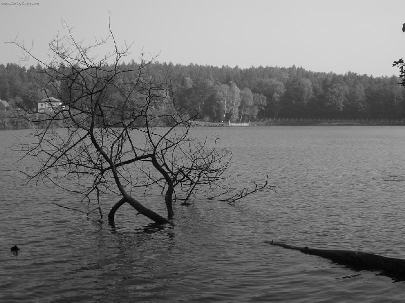 Foto: Jevansk� rybn�k