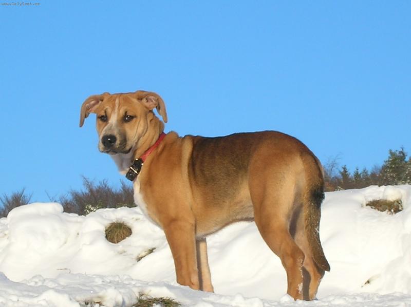 Foto: Den je kr�sn�......