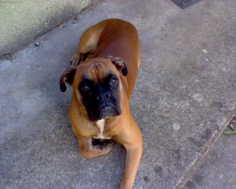 Foto: Joel  Bille Joe