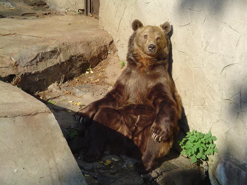 Foto: Pohoda kl�dek tab��ek