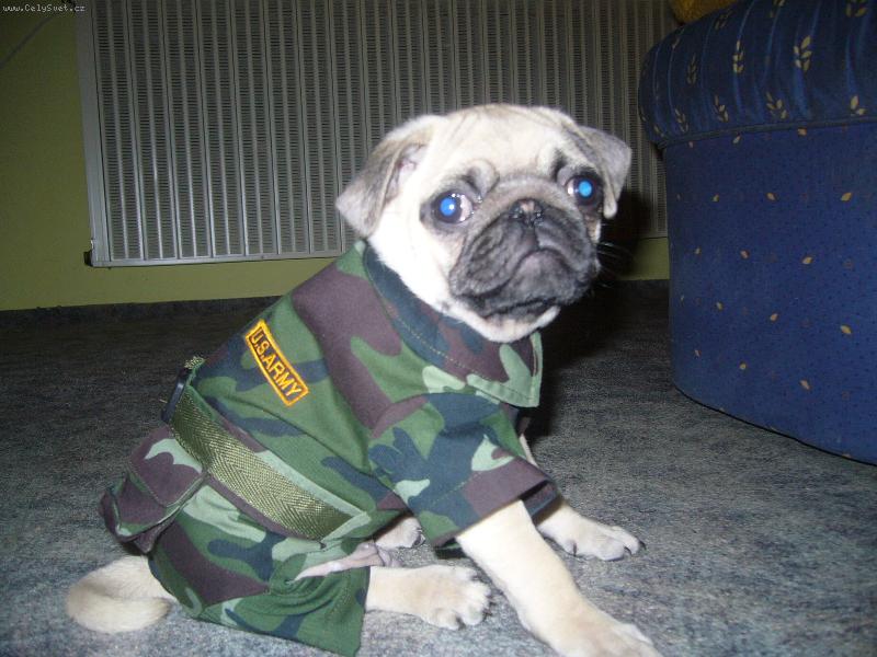 Foto: m�dn� p�ehl�dka