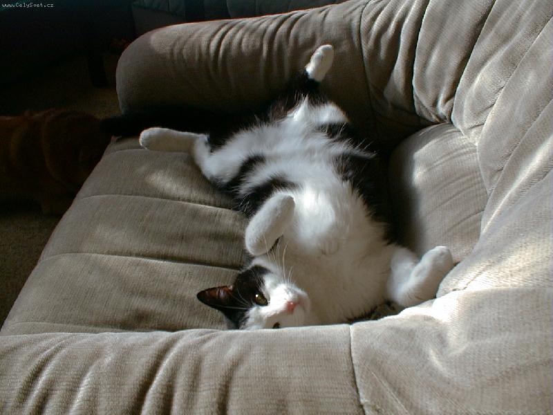 Foto: Nejd�le�it�j�� je pohodl�