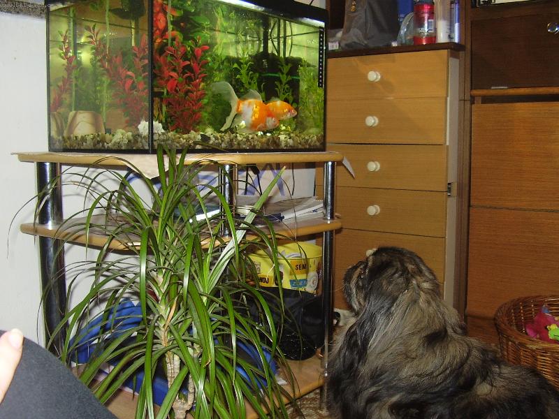 Foto: Hmm....sva�inka...