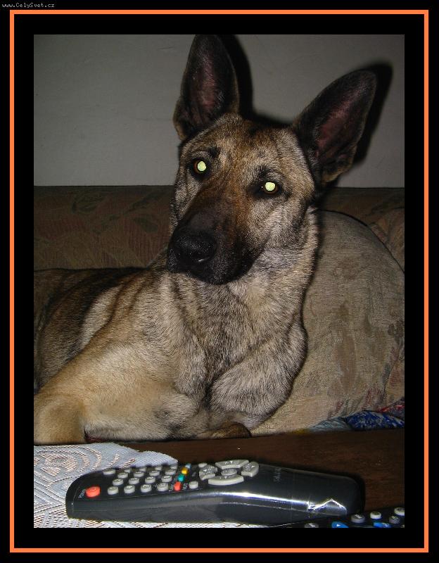 Foto: Pust�me si n�co?-Carmen