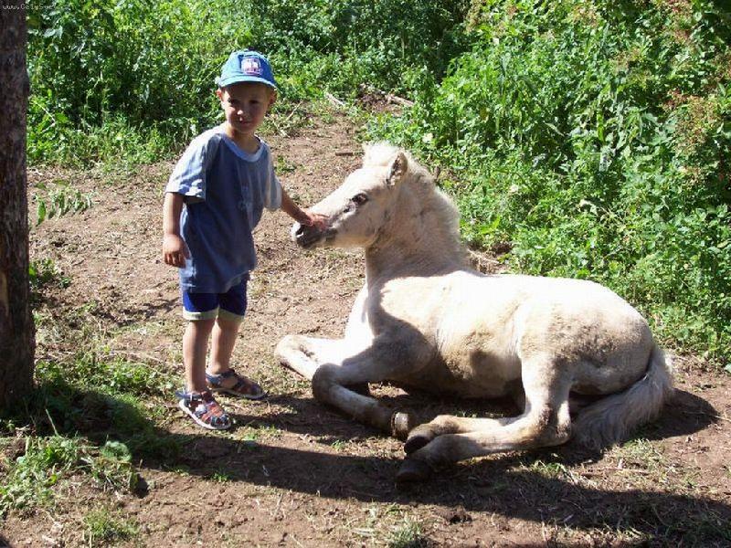 Foto: Mat�j a h��b�tko