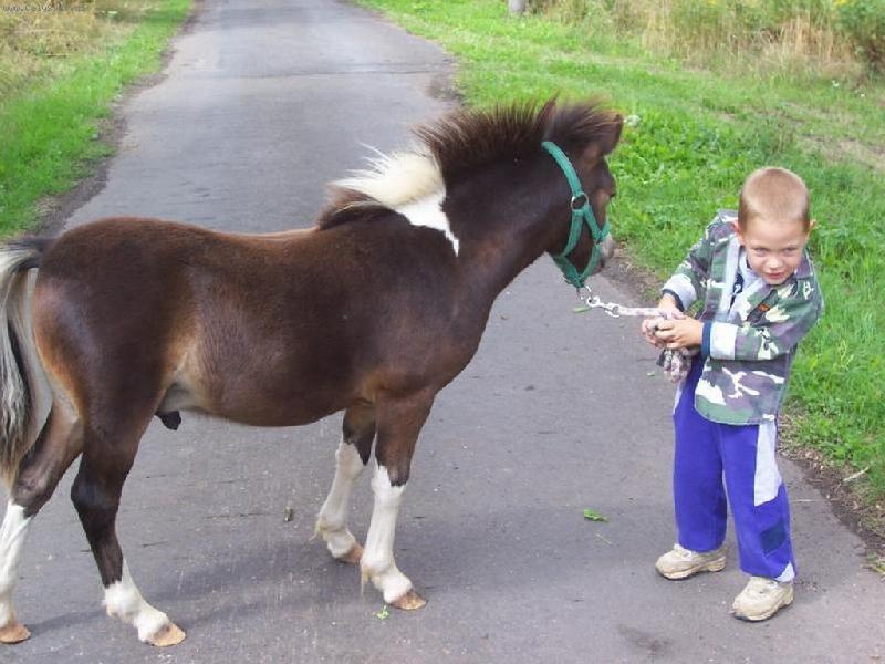 Foto: Mat�j a Straips