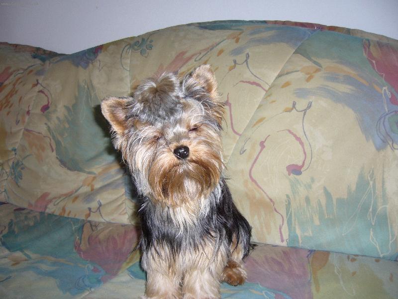 Foto: Sendy-U� skoro spink�...