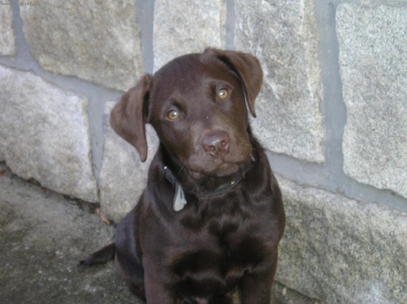 Foto: Dasty-D�te mi n�co???