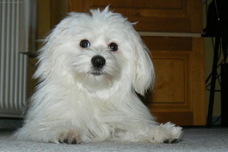 Foto: KIMI-kdo m� to vzbudil?