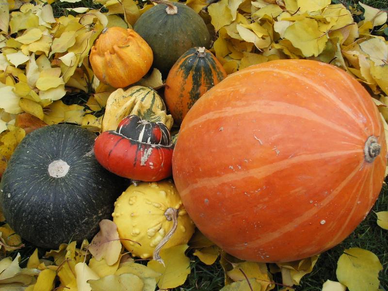 Foto: heelowen d�n�