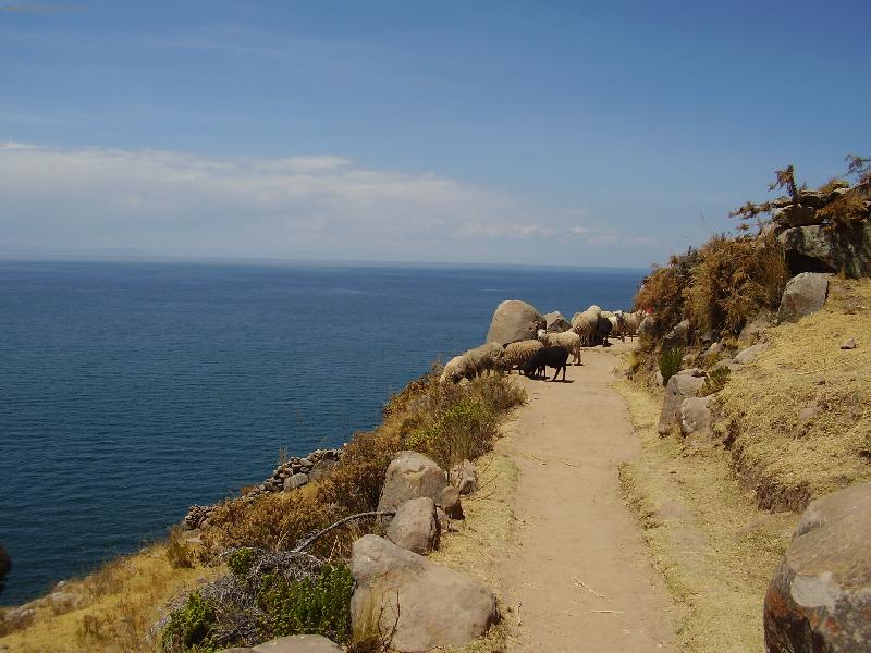 Foto: u jezera Titicaca