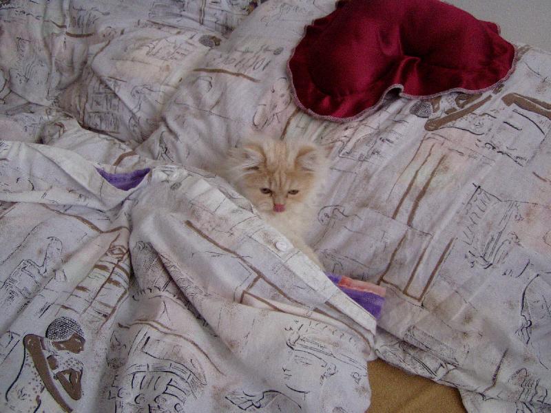 Foto: M�am,sn�dan� do postele