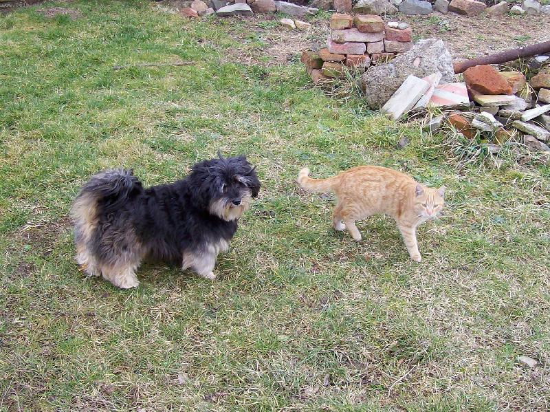 Foto: Ramb�k a �ikita-kamar�di na proch�zce