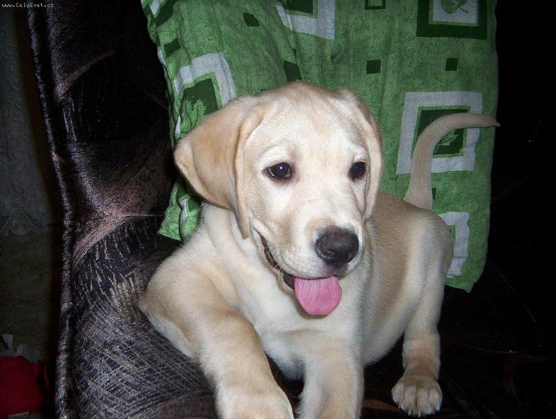 Foto: Max�k-odpo��v�m neru�it!