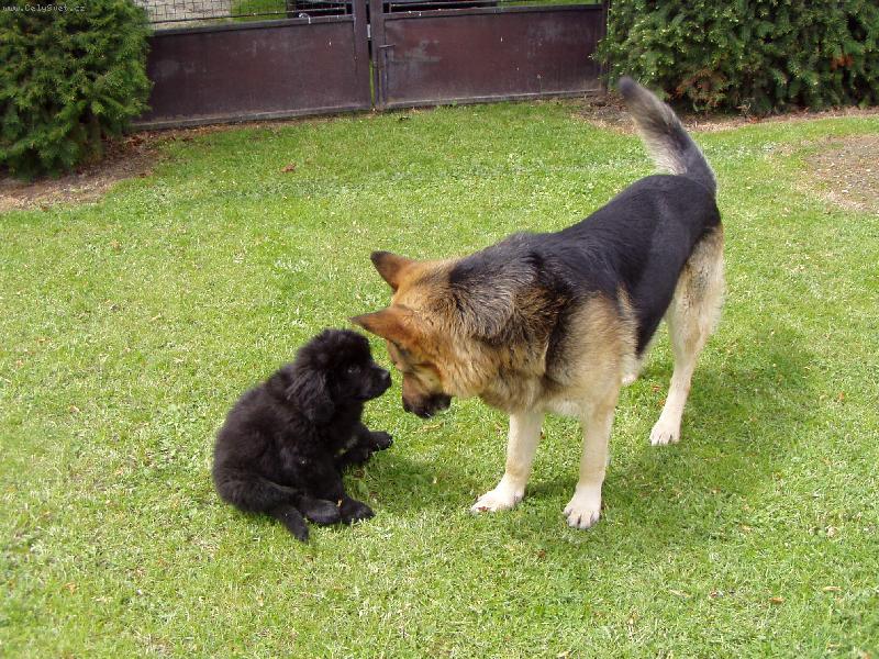 Foto: Ken�k a Monty