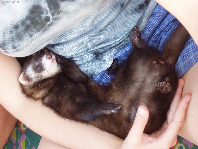 Foto: Fre��k M�a-Nen� nad kvalitn� sp�nek...