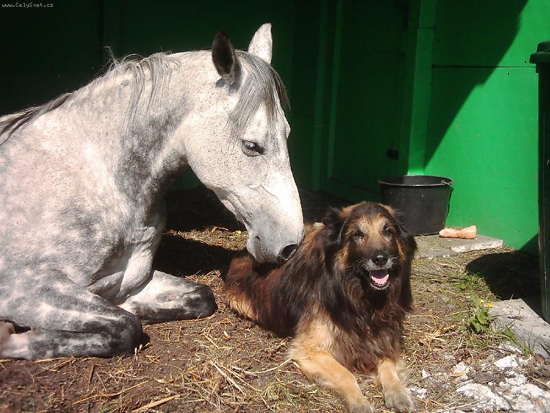Foto: Poledn� siesta