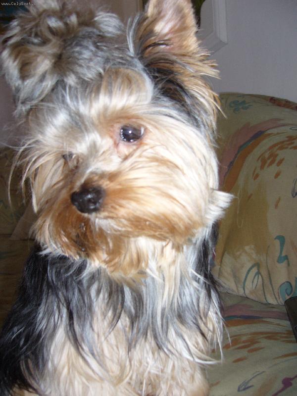 Foto: Sendynka-To jsem ale krasavice co???????