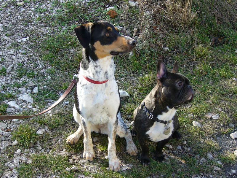 Foto: vlev� hle�