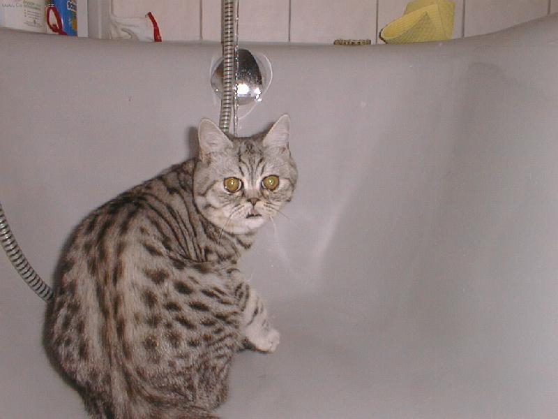 Foto: Lucky-Lucky mil��ek