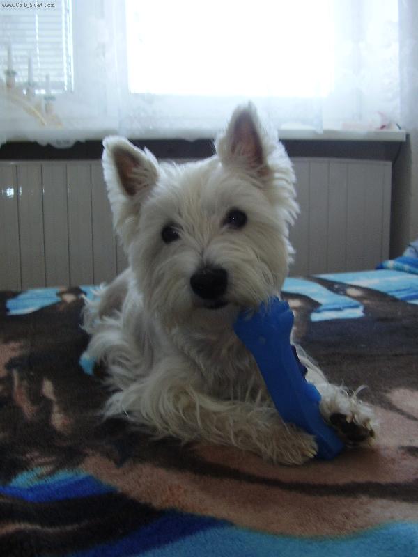 Foto: Vikisek-to je m�j p�sk��ek