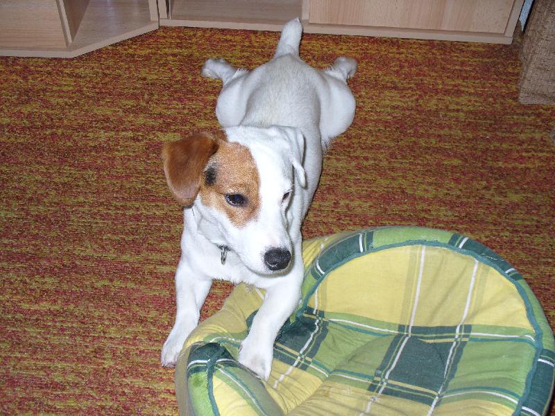 Foto: m�j pel�ek