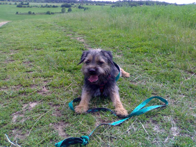 Foto: BEF na prochazce-BEF na prochazce