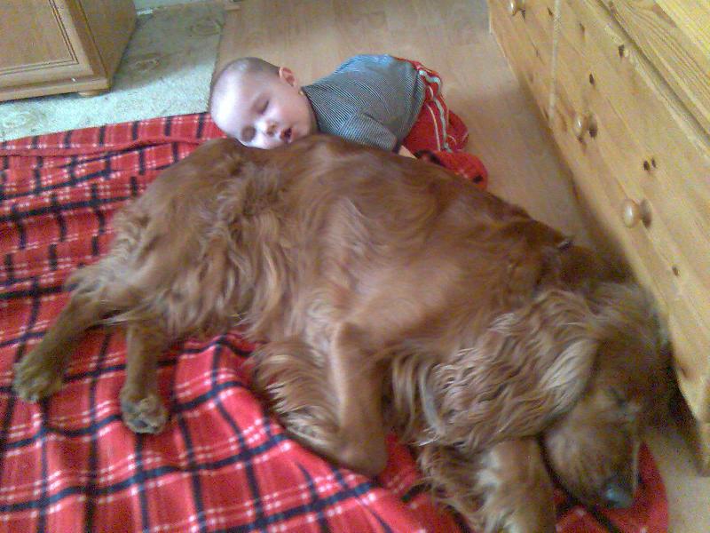 Foto: Nen� nad to se p�kn� p�itulit...