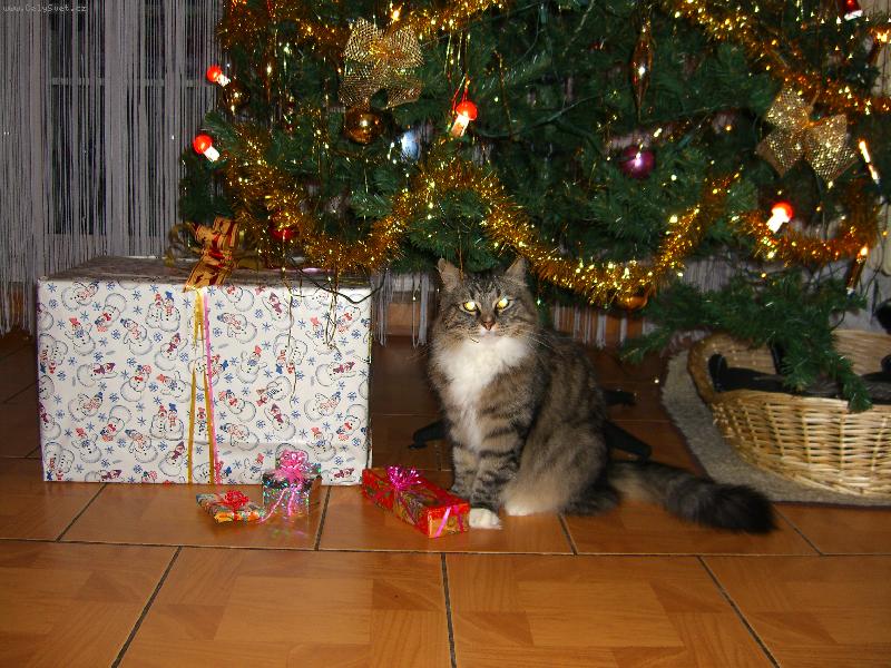 Foto: Tady Je��ek....