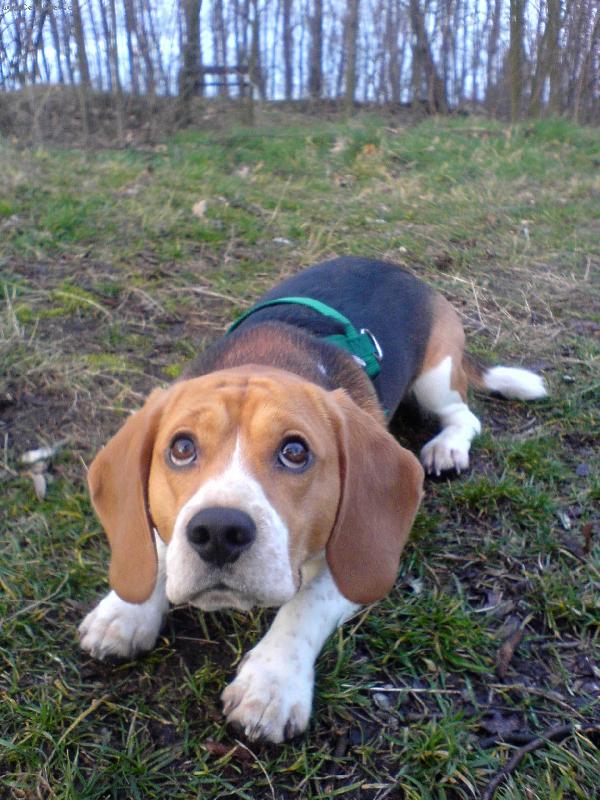 Foto: Ed�k-takhle to koul�m s p�n��kama