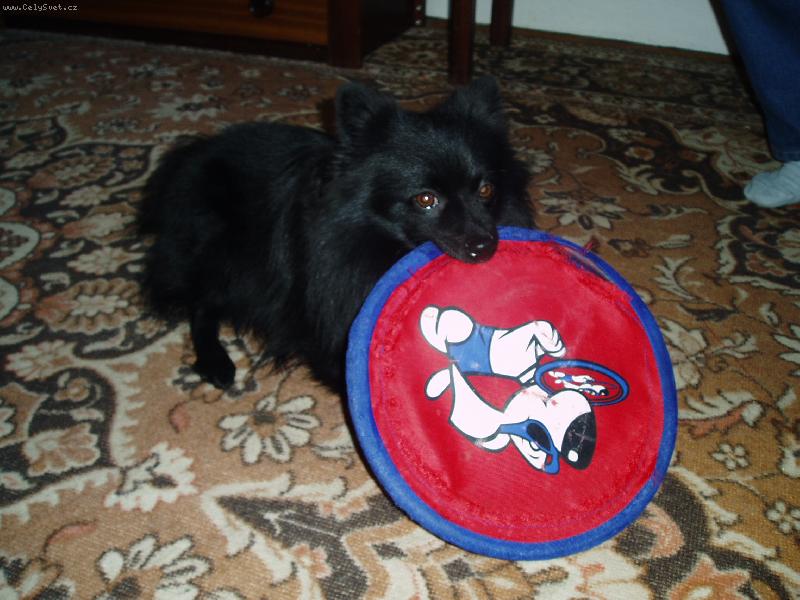 Foto: zlat��ko Fany