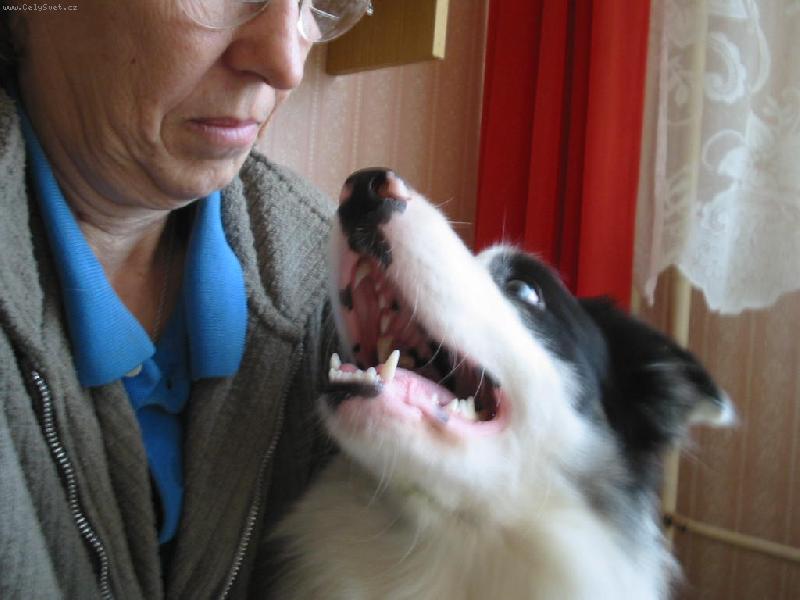 Foto: s pani�kou je dob�e