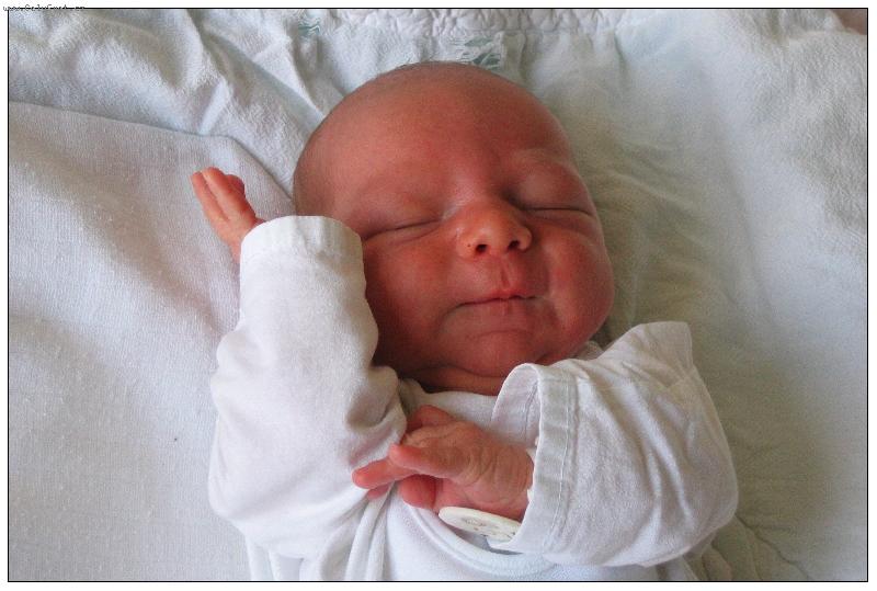 Foto: To je kr�sn� sen!