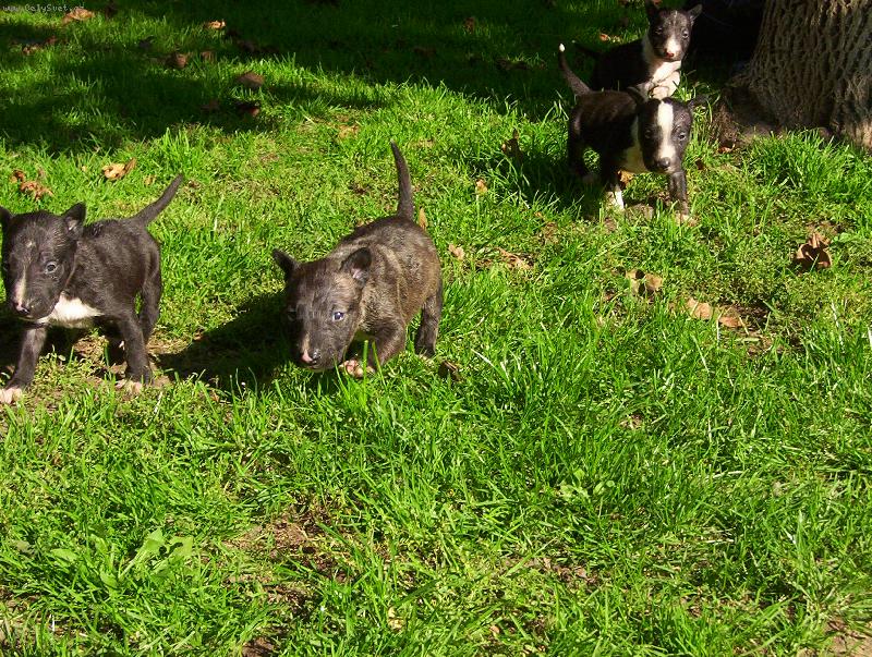 Foto: Prvn� v�let do p��rody-travi�ka zelen�...