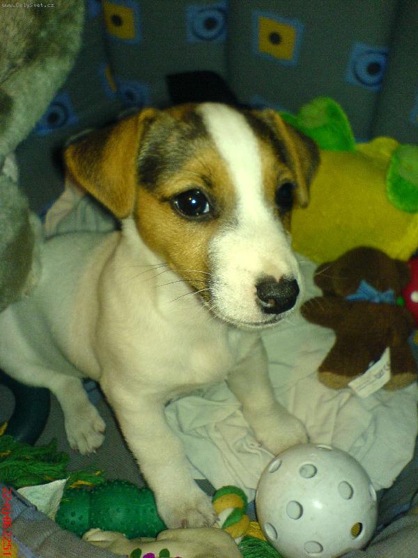 Foto: N� Mailou-Poj� si pros�m zahr�t?