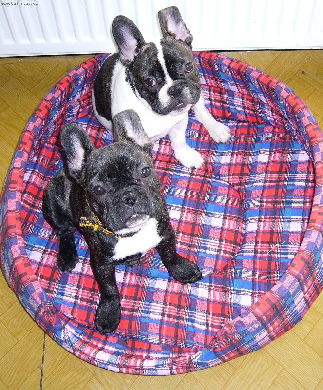 Foto: co to d�l�?