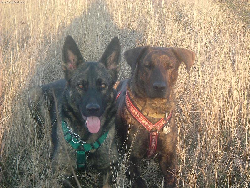 Foto: Terri ze Zla��ku+Sally