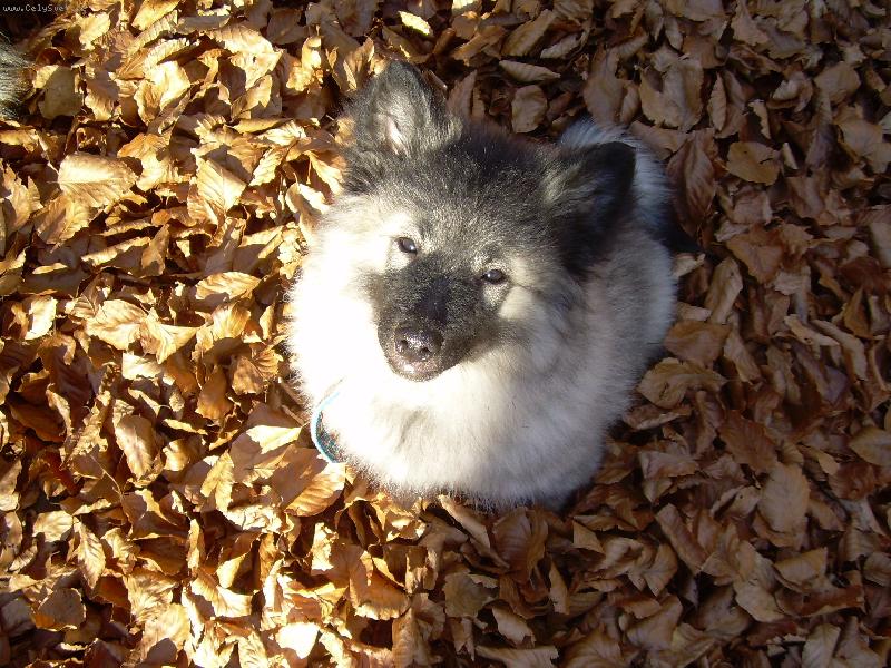 Foto: Odkud to sem pad�?