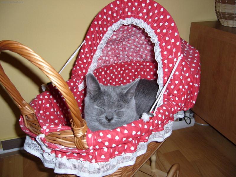 Foto: Kdo mn� povoz�?