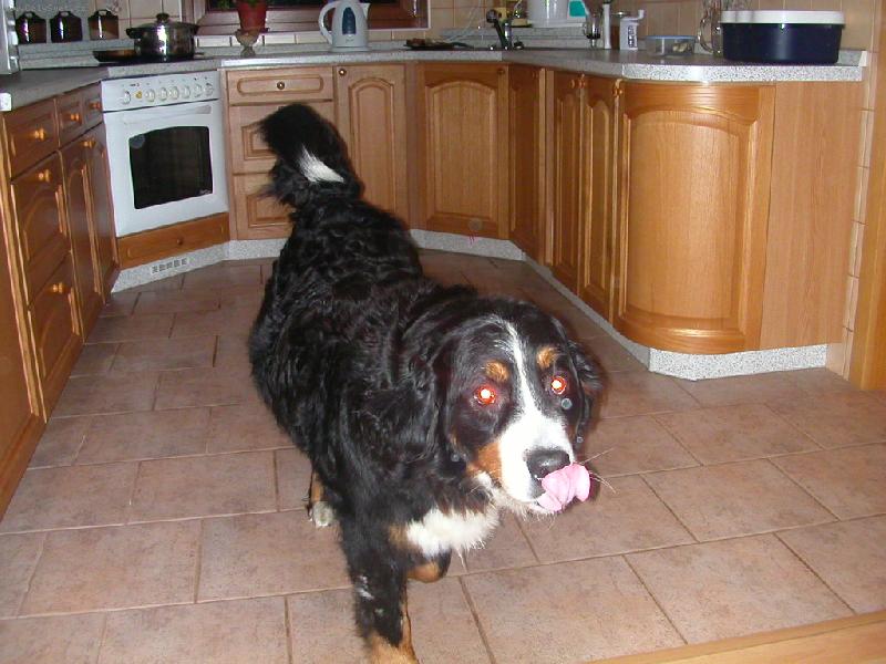 Foto: To byla dobrotka