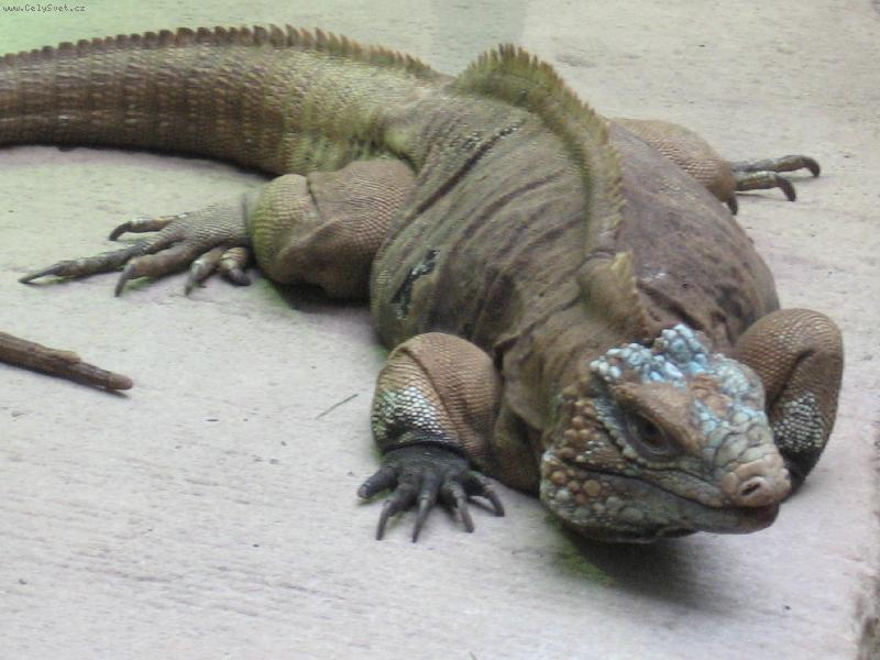 Foto: M�L� JE�T�RKA