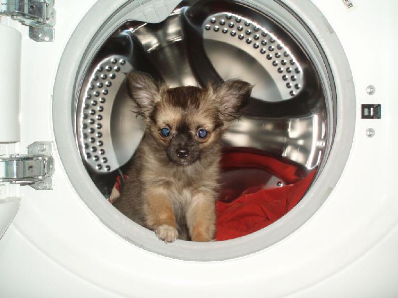 Foto: Nelly-J� se chci koupat