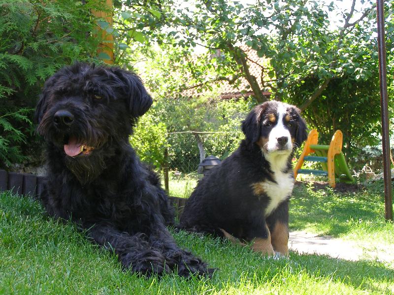 Foto: Elisa ze Stam��ic a Betinka