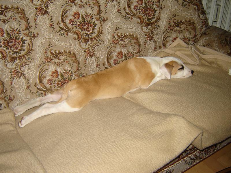 Foto: Gucci-odpoledn� siesta:-)