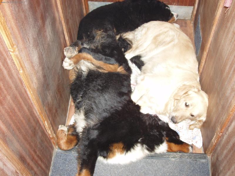 Foto: Je�t� se sem n�kdo vejde,fakt...