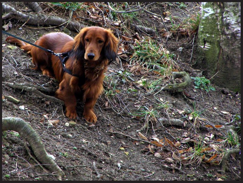 Foto: S kopce se mi nechce
