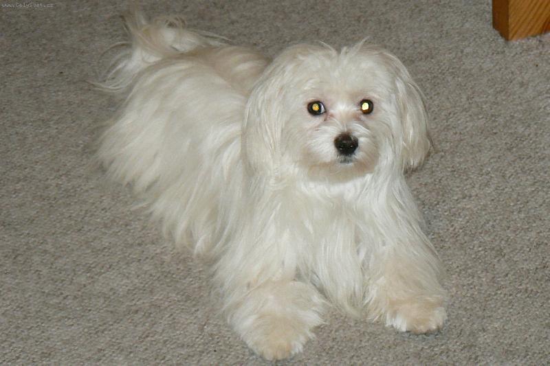 Foto: KIMI-chvilka klidu